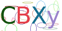 验证码