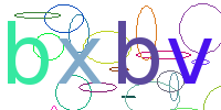 验证码