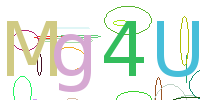 验证码